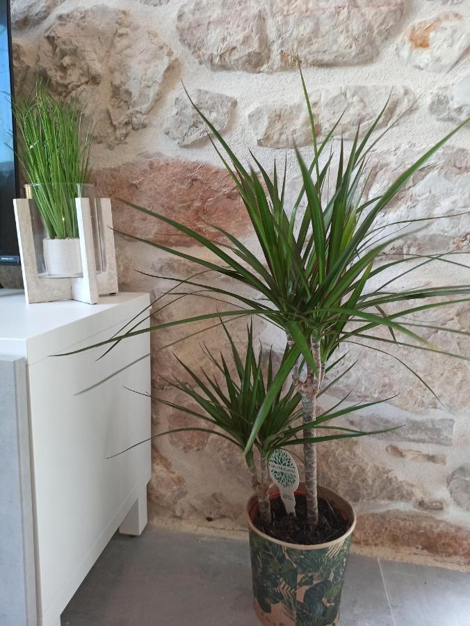 Grannyanny Apartman Šibenik Kültér fotó